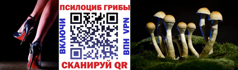 маркетплейс состав  Севастополь  Псилоцибиновые грибы мухоморы 